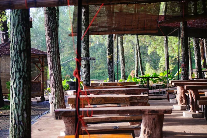 Explore Pinus Campervan Park, Surga Camping di Batu