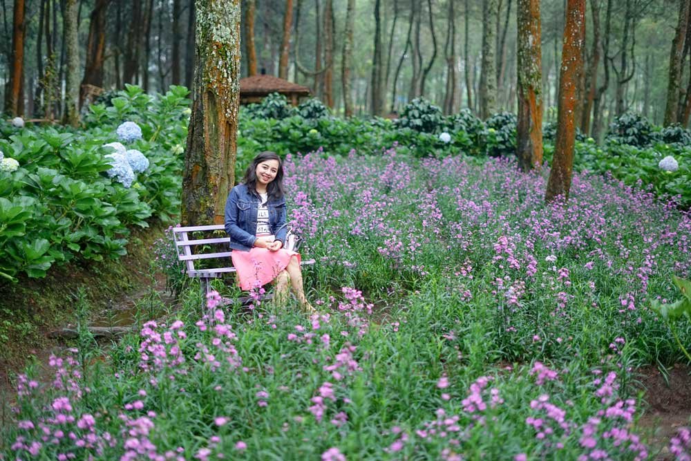 Coban Talun: Taman Lavender