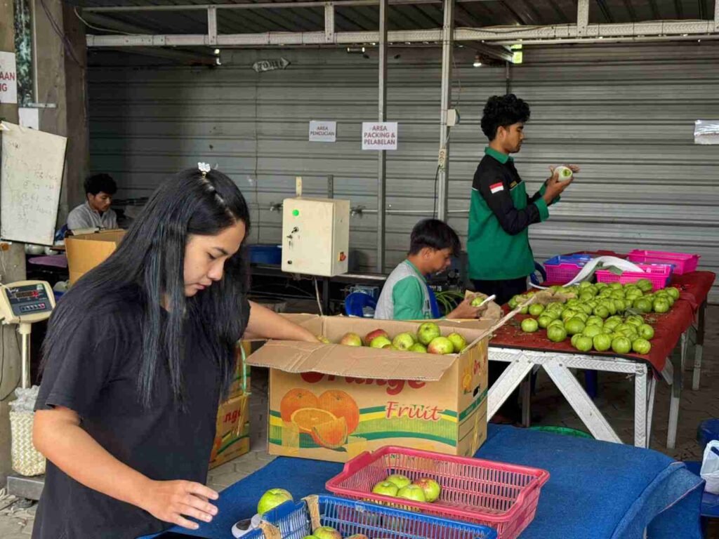 Jelajahi Jambu Kristal Bumiaji, Wisata Edukatif Seru di Batu!
