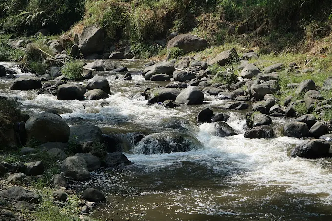 Taman Merak Pujon, Wisata Sungai dengan Rafting dan Glamping di Malang